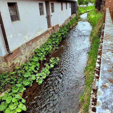 Ferienwohnung Zum Sollingtor Dassel Bagian luar foto