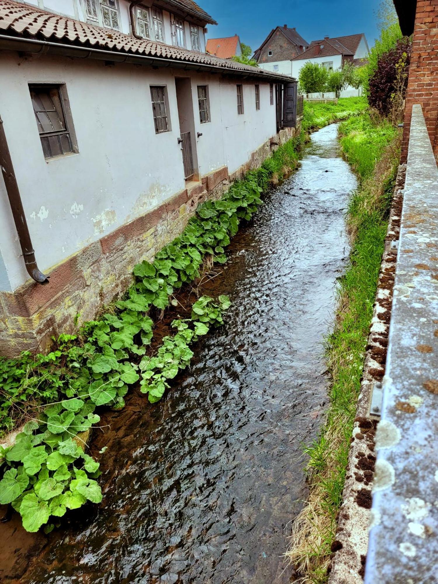 Ferienwohnung Zum Sollingtor Dassel Bagian luar foto