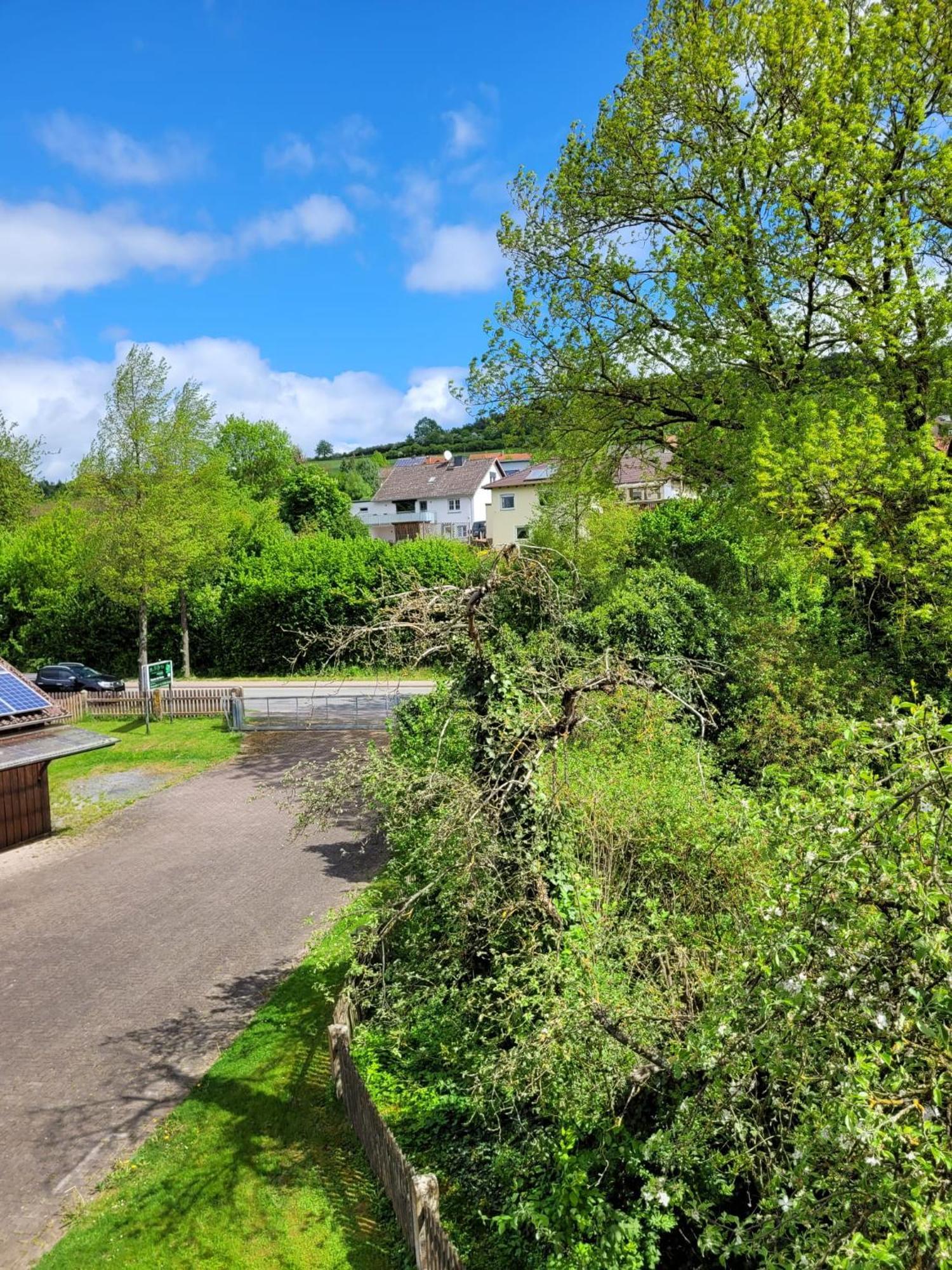 Ferienwohnung Zum Sollingtor Dassel Bagian luar foto