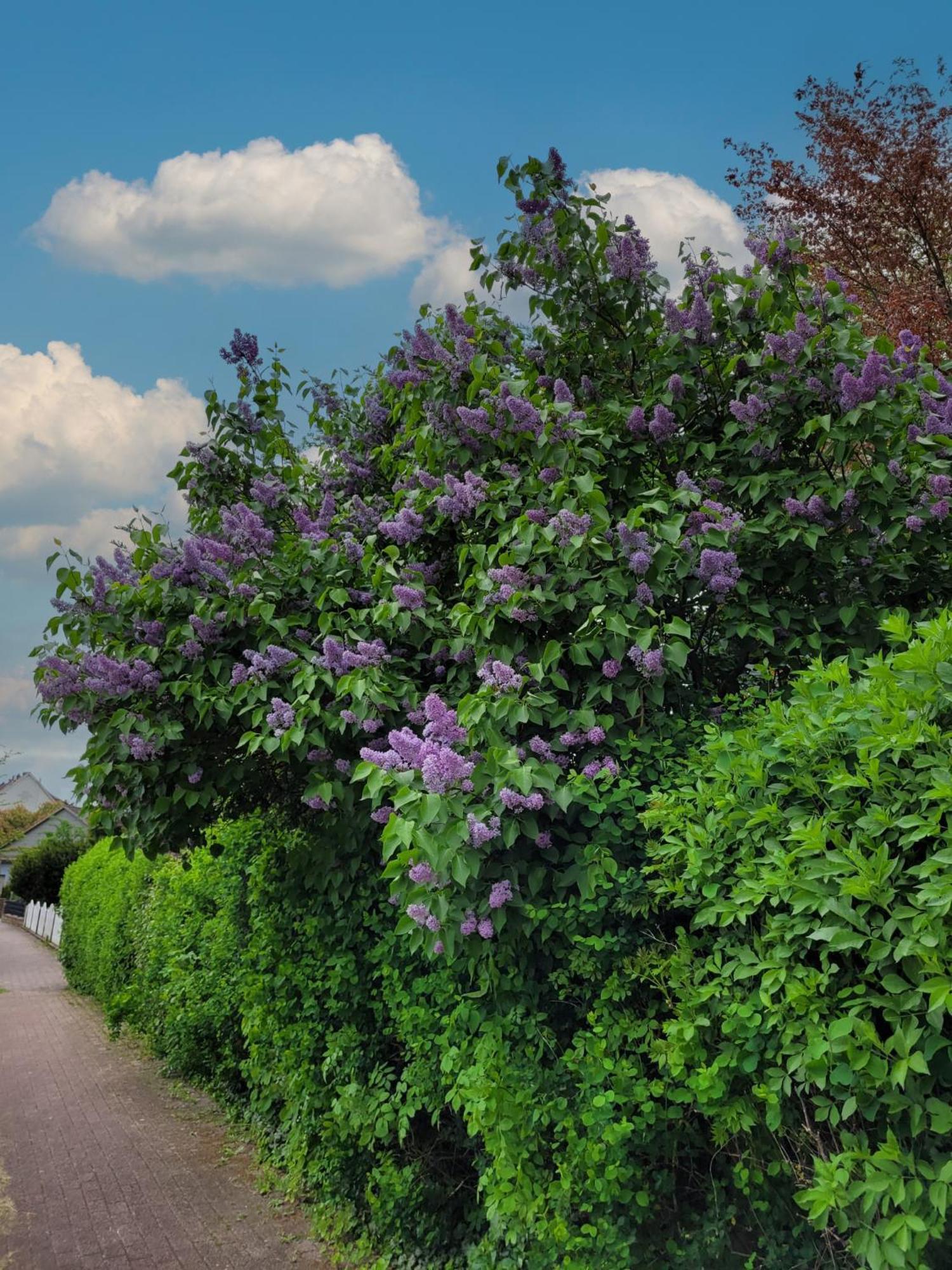 Ferienwohnung Zum Sollingtor Dassel Bagian luar foto